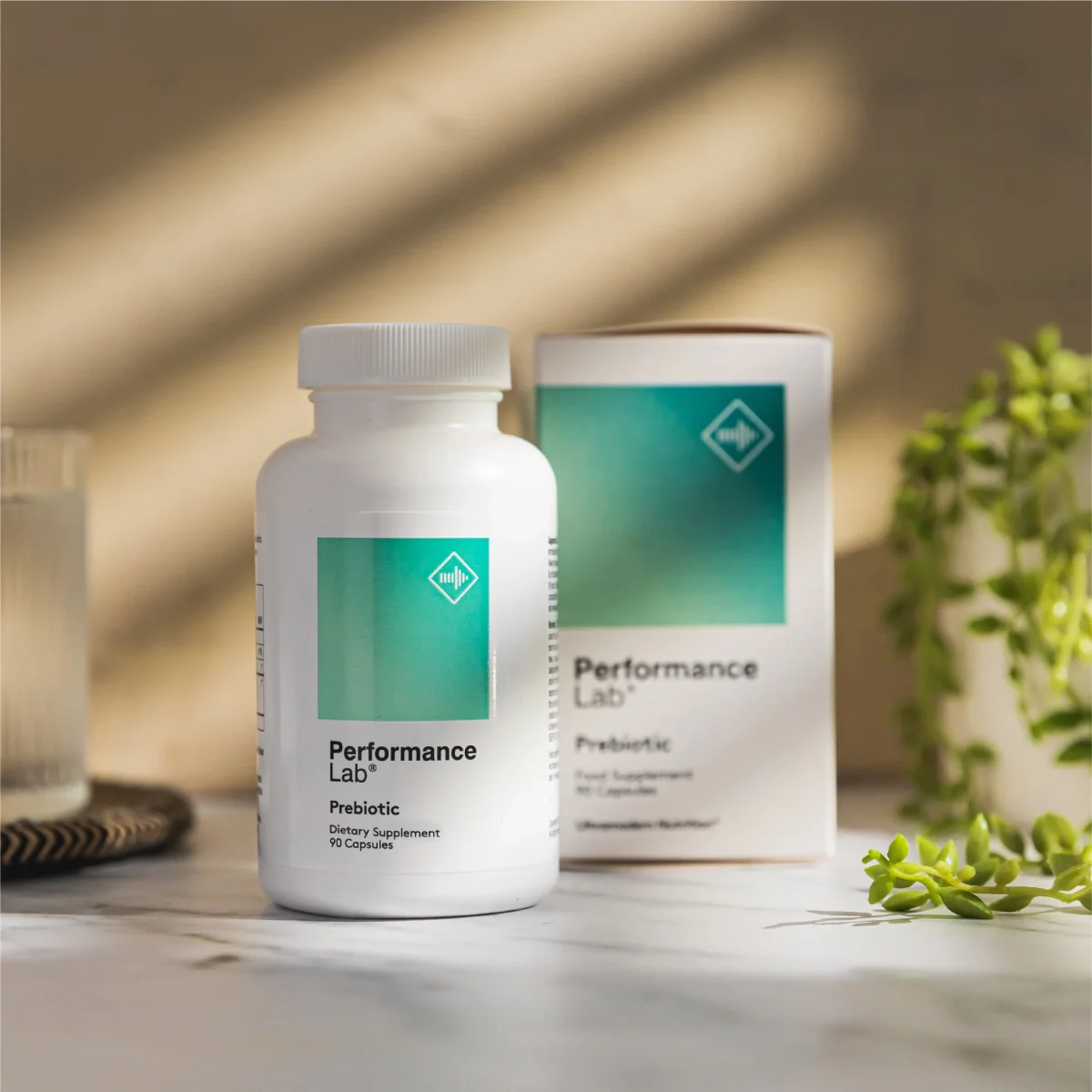 Prebiotic - Image 3